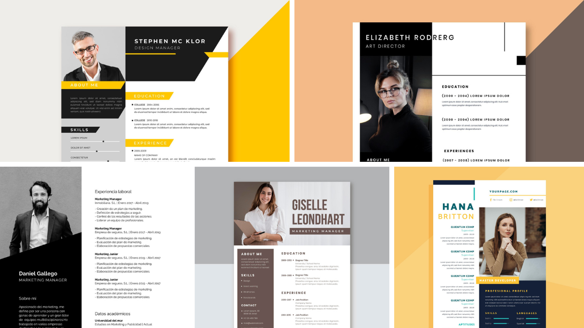 Hoja de Vida Profesional